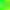 FLP509 Fluo Chartreuse