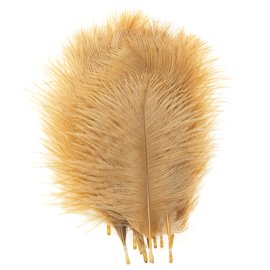 Loose ostrich outlet feathers