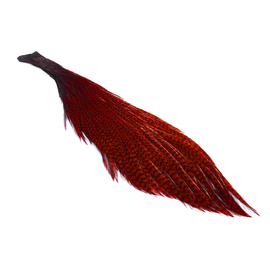 Wapsi Ewing Grizzly Half Capes Red | Fly Tying Materials \ Feathers ...