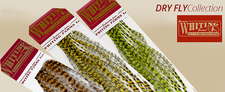 Whiting 100 pack
