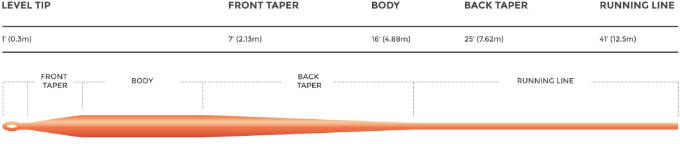 WEIGHT FORWARD TAPER PROFILE