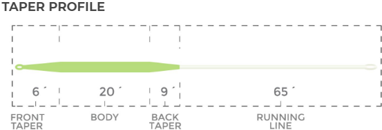 Taper profile - trout boss