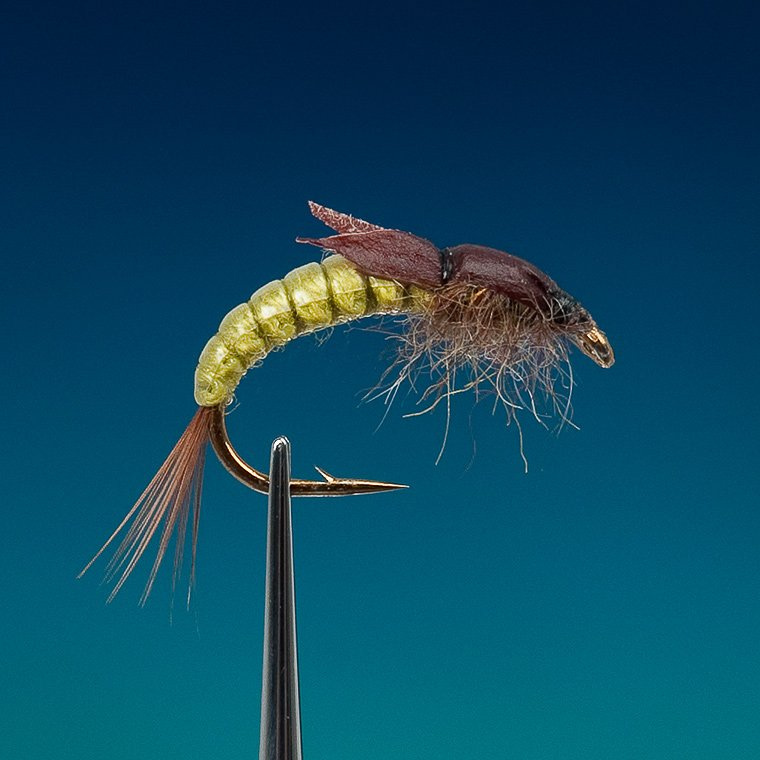 (0279) Deep Caddis Pupa Woven Olive Flies \ Nymphs (barbed)