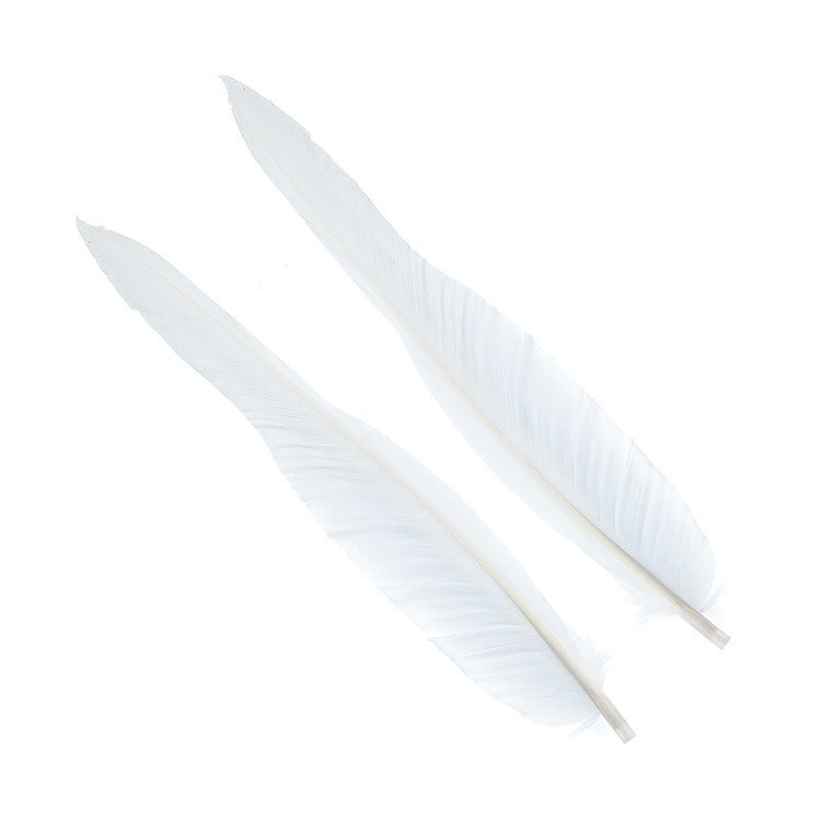 Wapsi Goose Quill Wapsi Goose Quill Fly Tying Materials \ Feathers