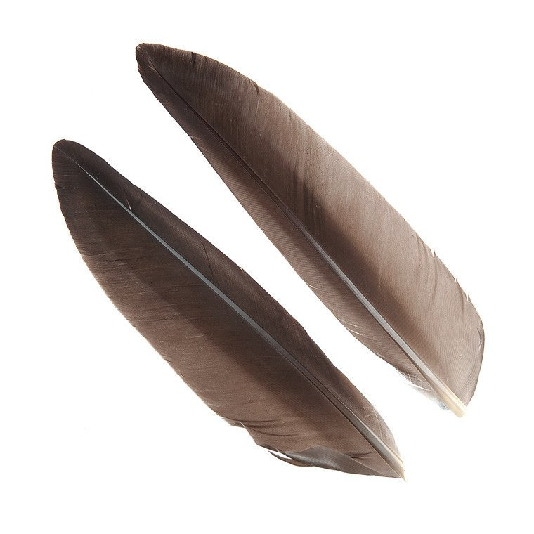 Wapsi Goose Quill Wapsi Goose Quill Fly Tying Materials \ Feathers