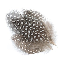 BG Guinea Fowl Hackles