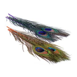 BG Peacock Cut Eye Tops