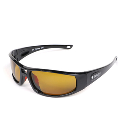 Expert Sunglasses OEX0133