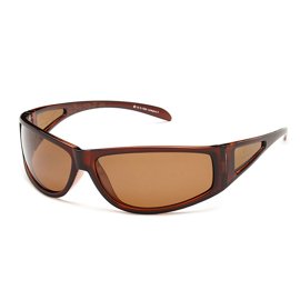 Solano Polarized Sunglasses FL 1006