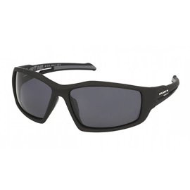 Solano Polarized Sunglasses FL 20044 C