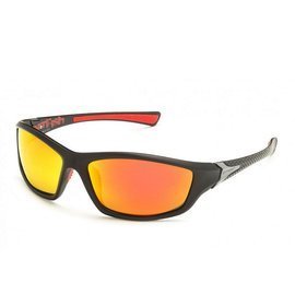 Solano Polarized Sunglasses FL 20056E