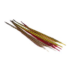 Wapsi 1 Pair Ringneck Tail Feathers