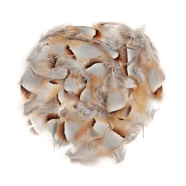 Wapsi Chukar Feathers Loose Natural