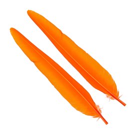 Wapsi Duck Quill, 2 pair