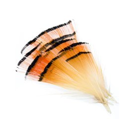 Wapsi Golden Pheasant Large Tippets