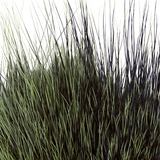 BG Nutria Shrimp Hair Supreme