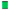 Fluo Green Highlander