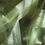 21 Olive