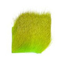 DBH509 Fluo Chartreuse