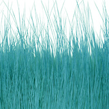 BG Nutria Shrimp Hair Supreme