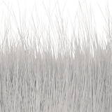 BG Nutria Shrimp Hair Supreme