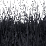 BG Nutria Shrimp Hair Supreme
