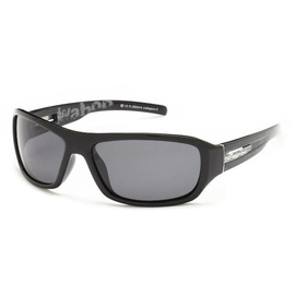 Solano Polarized Sunglasses FL 20034A