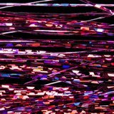 Hends Holographic Hair