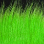 Bright Green 