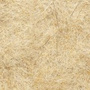 DV-100 Cream