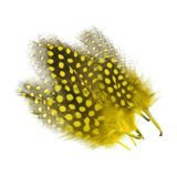 BG Guinea Fowl Hackles