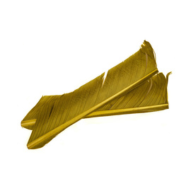 Fly-Dressing Turkey Biot Quills