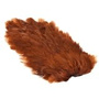 CBS147 Brown