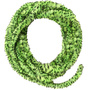 Chartreuse