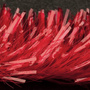 Blood Red