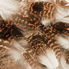 Veniard Grouse Body Plumage 2g