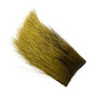 EBR089 Olive
