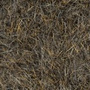 NB219 Gray Squirrel