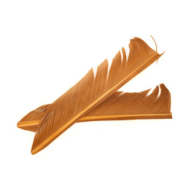 Fly-Dressing Turkey Biot Quills