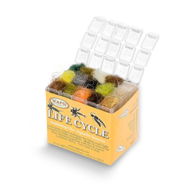 Wapsi Dispenser Life Cycle 30 Color Cube