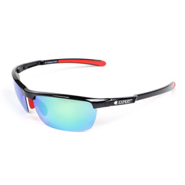 Expert Sunglasses OEX0012