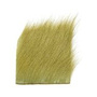 CB089 Olive