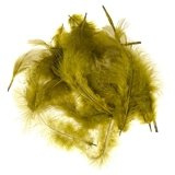 Wapsi White Matuka Soft Hackle