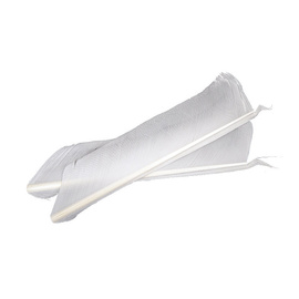 Fly-Dressing Turkey Biot Quills