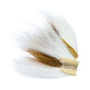 BTP201 Natural