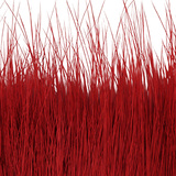 BG Nutria Shrimp Hair Supreme