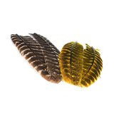 Wapsi Ozark Turkey Quill