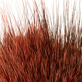 BG Nutria Shrimp Hair Supreme