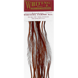 Whiting 100 Packs
