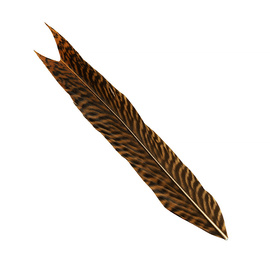 Wapsi Golden Pheasant Tail Piece